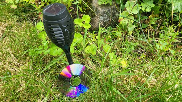 A CD in a garden
