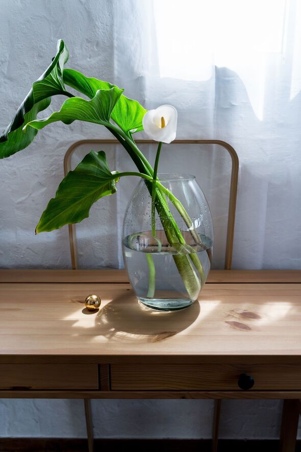 Flower in glass vase on desk at home