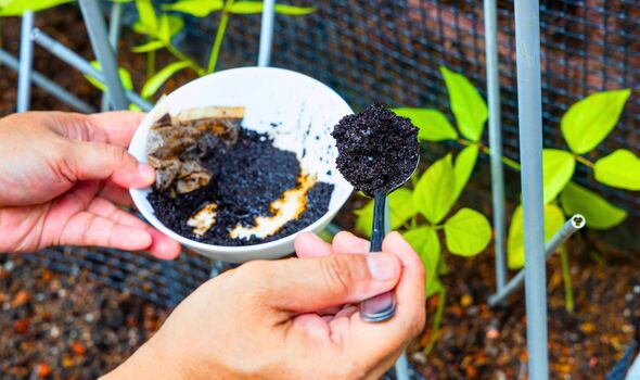Picture of someone using coffee in their garden