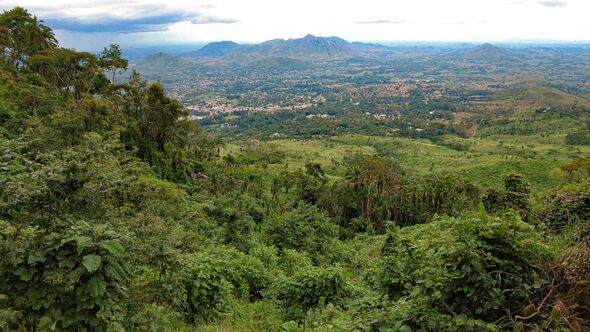 Tropical Forest Vegetation towards Zomba Valley and Town from the Plateau Malawi