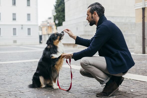 Adult man crouching with his dog in cobbled city square