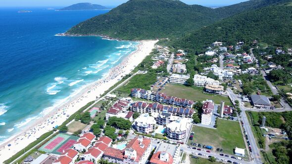 Brava Beach in Florianopolis, where the dogs lived