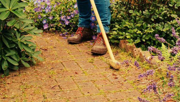 Garden maintenance on pavers
