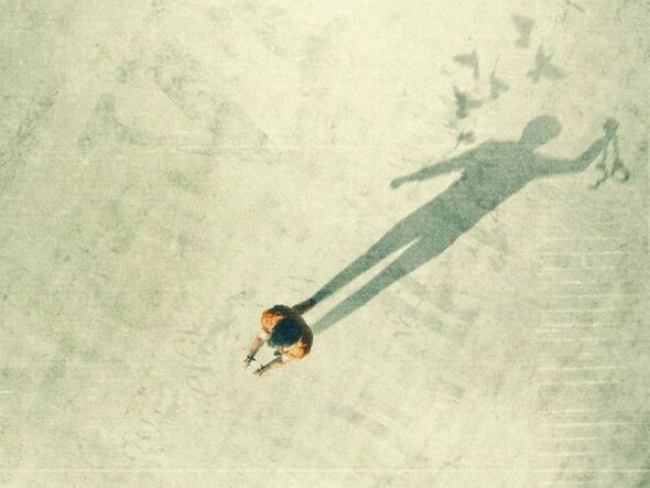 The Innocence Files Netflix
