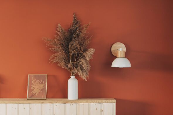 Pampas grass in a vase against a terracotta-red wall.