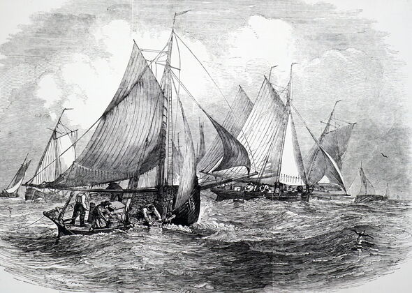 Oyster boats in the estuary