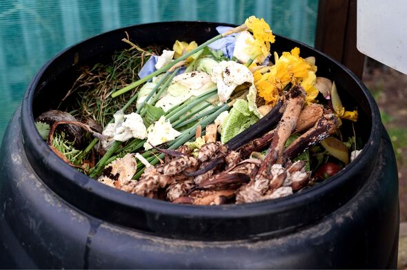 Garden compost bin