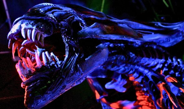 Picture of the monster in Alien