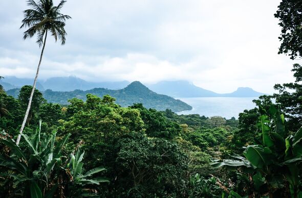 Scenic View Of Trees And Mountains Against Sky