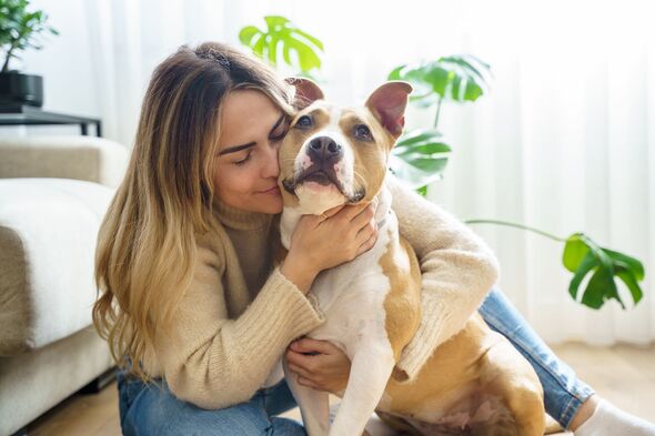 blonde young woman hugging happy Pitbull Terrier dog