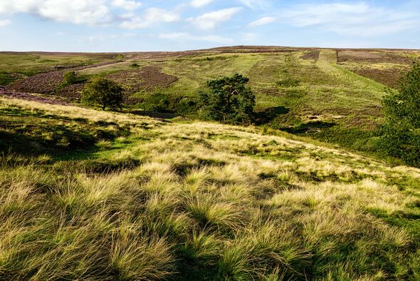 Yorkshire Moors at Lastingham, North Yorkshire, England