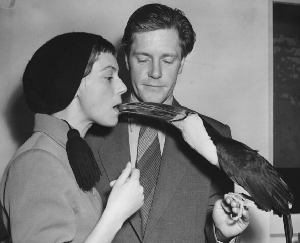 The Durrells and a Toucan