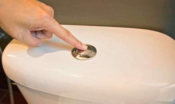 Picture of a toilet handle