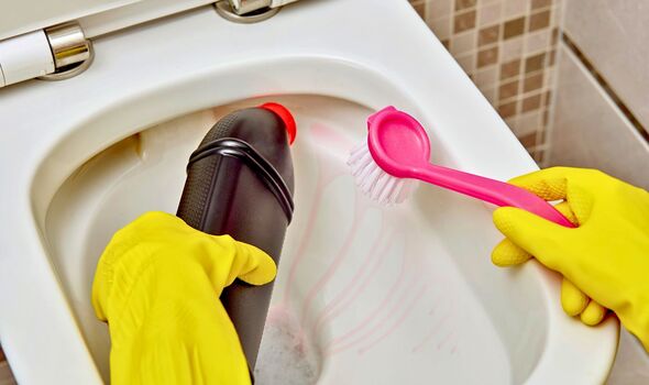 Picture of someone cleaning a toilet with bleach