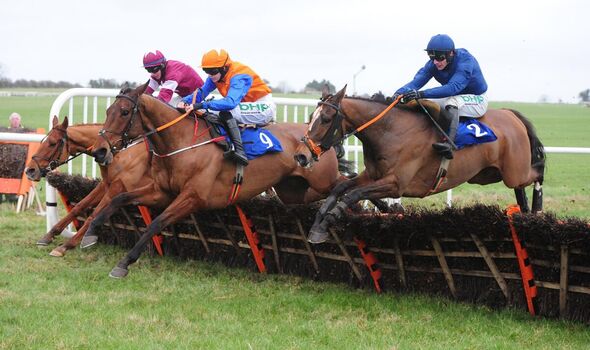 Horses jumping over jumps at Thurles racecourse