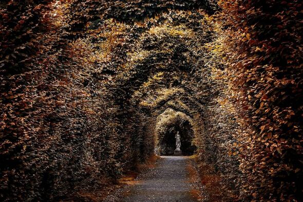 Alley at Birr Castle