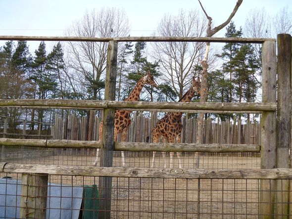 Heythrop Zoo