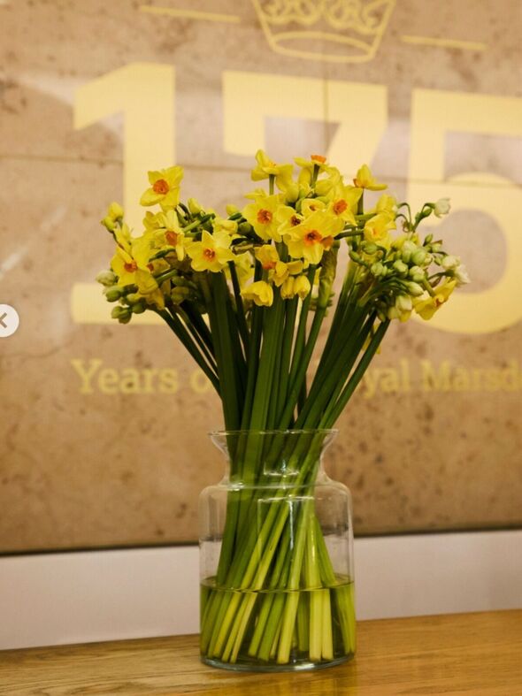 Scented Narcissi Direct From The Isles Of Scilly