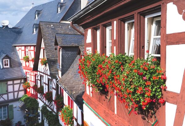Beilstein