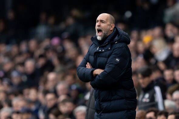 Fulham v Tottenham Hotspur - Premier League
