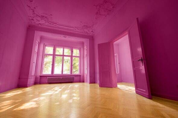 pink painted room in beautiful flat with wooden floor -
