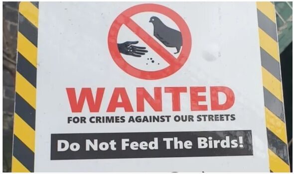 bird feeding ban