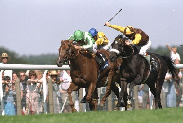 Lammtarra (pictured at Ascot)