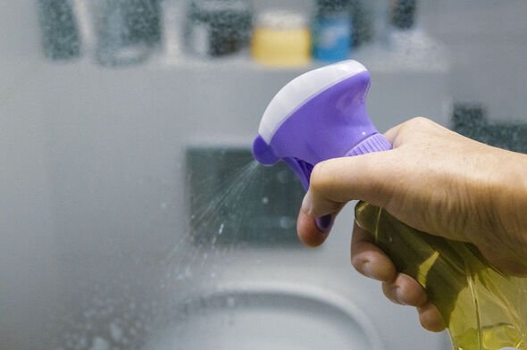 stain remover in a hand