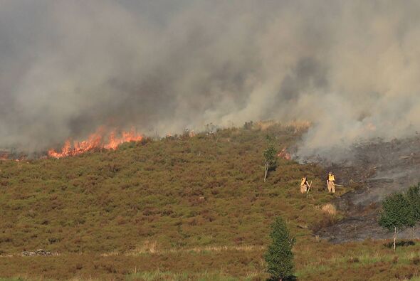 An aerial view of a landscape affected by a wildfire, displaying significant flames and smoke rising from a hillside, with veget