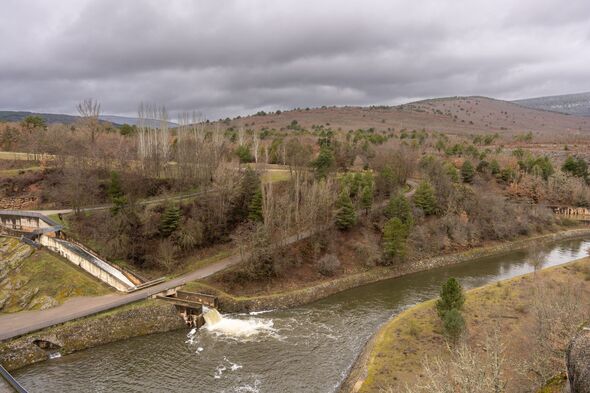 Scenic view of the Cuerda del Pozo reservoir surrounded by pine forests, Soria, Spain.