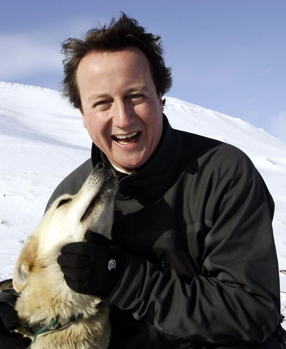 David Cameron with a husky