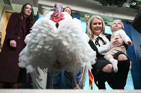White House Press Secretary Karoline Leavitt (R) holds her son Nicholas as Waddle, one of the National Thanksgiving turkeys, vis