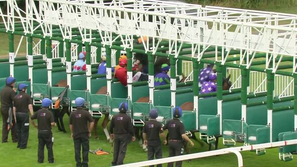 Ryan Kavanagh is bucked off his horse