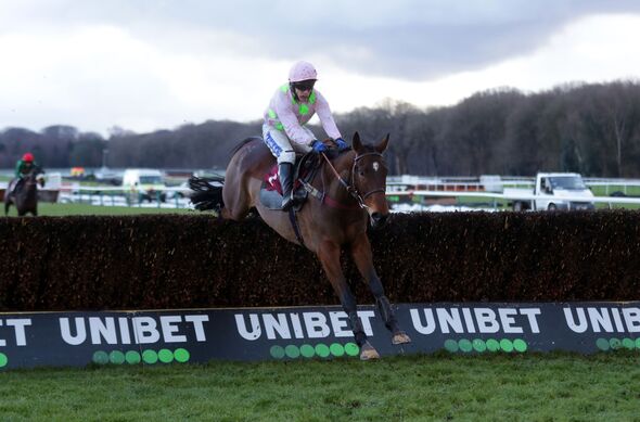 Royale Pagaille returns to defend his crown