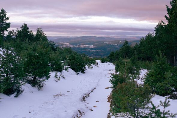 Winding snowy road through pine forest at sunset in La Rioja Spain