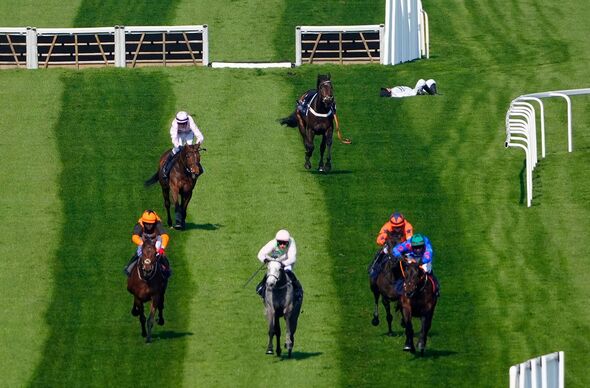 Constitution Hill at Cheltenham