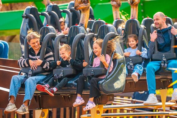 Family on a rollercoaster