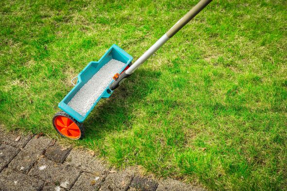 Fertilize lawn - Detail of Fertilizer spreader on green lawn