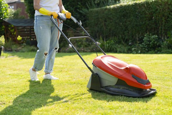 Lawn maintenance activity taking place in a sunny backyard with a person mowing grass using an electric mower while wearing gloves