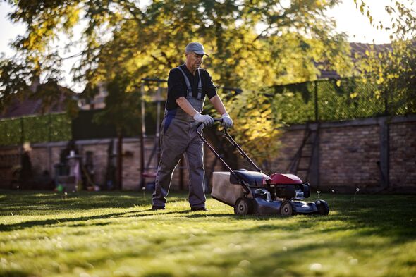 Senior man mowing lawn in backyard doing gardening work.
