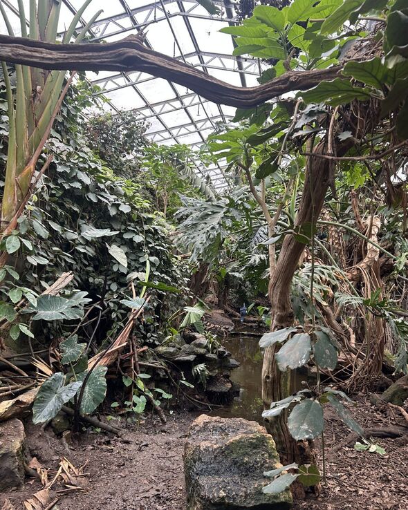 The enclosures were spacious