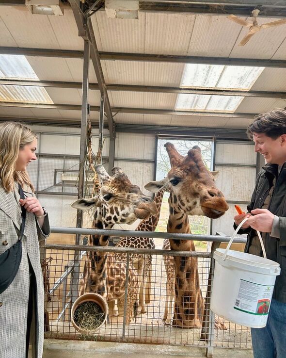 I paid extra for a giraffe-feeding experience