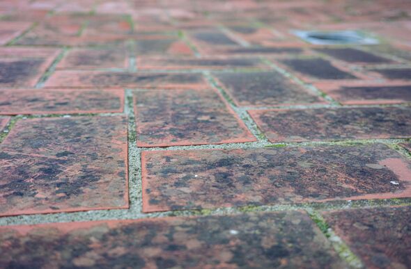 Dirty outdoor tiles with mold and moss, need cleaning and maintenance