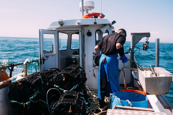 Fishermen out at sea