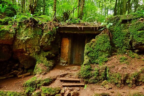 Puzzlewood, an ancient woodland near Coleford
