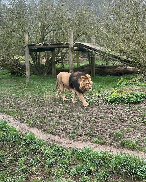 You could get so close to the animals