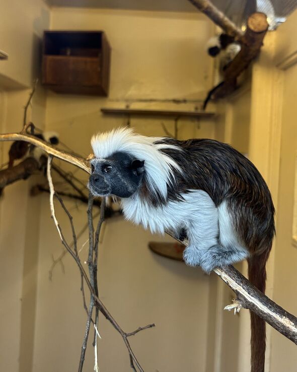 The park boasts over 260 species