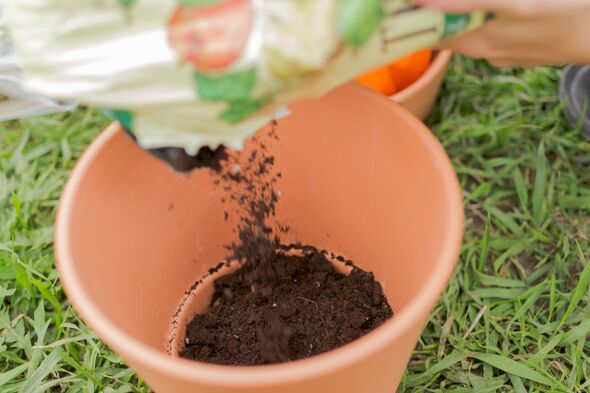 Plant Pot Compost Gardening Action