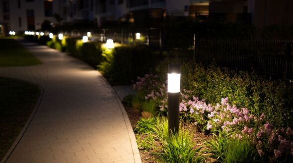 Solar lights in a garden in the UK