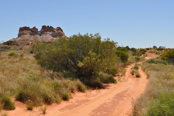 The children were moved to foster care